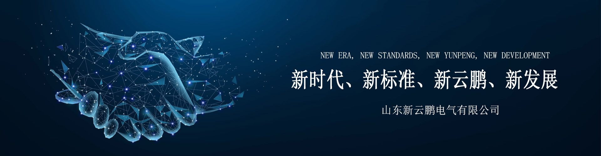 山東新云鵬電氣有限公司 山東新云鵬電氣有限公司